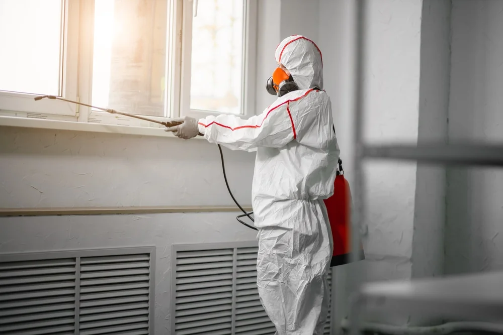 Professional mold remediation services in Weatogue, CT